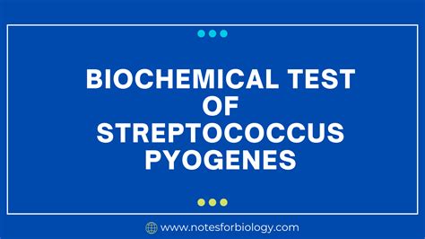 streptococcus pyogenes biochemical test|Laboratory Diagnosis of Streptococcus pyogenes (group A .